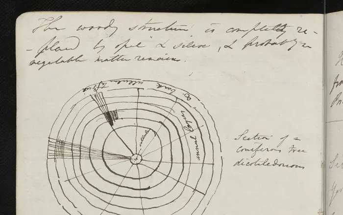 C Lyell notebook page 1