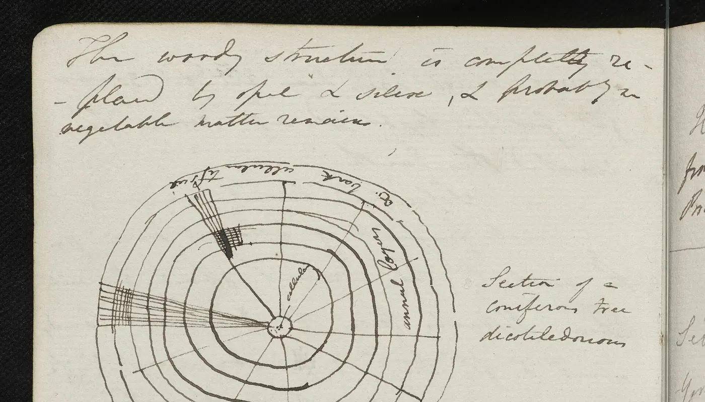 C Lyell notebook page 1